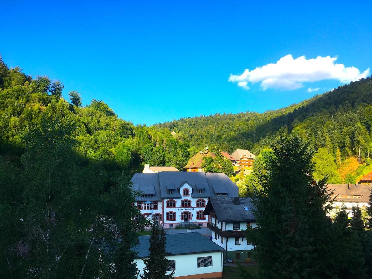 Ferienwohnung Schwarzwald Тодтмос Экстерьер фото